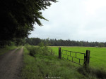 Lonnekerberg